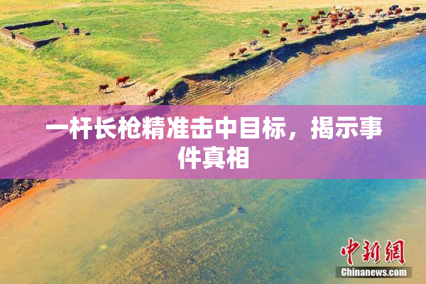 一杆长枪精准击中目标，揭示事件真相