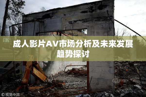 成人影片AV市场分析及未来发展趋势探讨