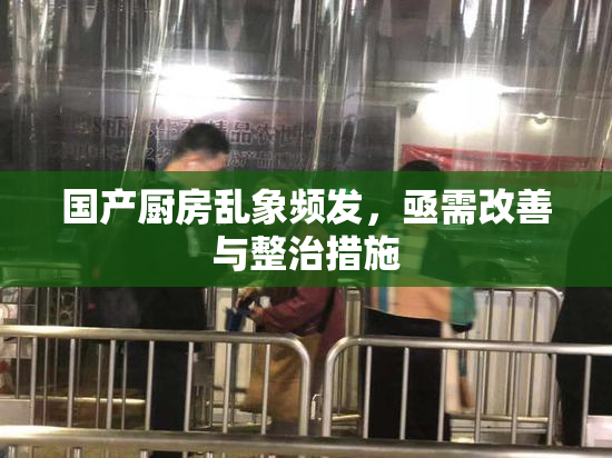 国产厨房乱象频发，亟需改善与整治措施