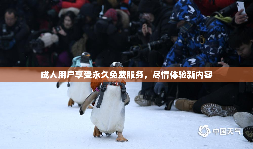 成人用户享受永久免费服务，尽情体验新内容