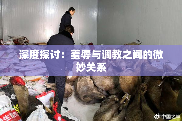 深度探讨：羞辱与调教之间的微妙关系
