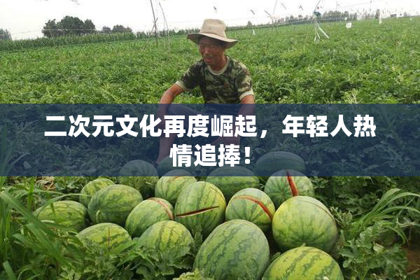 二次元文化再度崛起，年轻人热情追捧！