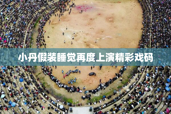 小丹假装睡觉再度上演精彩戏码