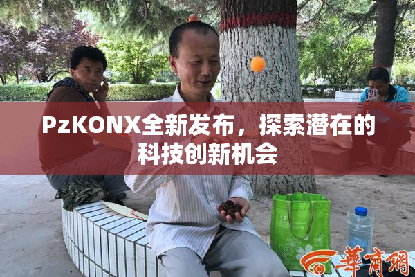 PzKONX全新发布，探索潜在的科技创新机会