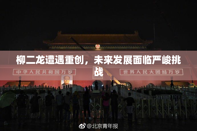 柳二龙遭遇重创，未来发展面临严峻挑战