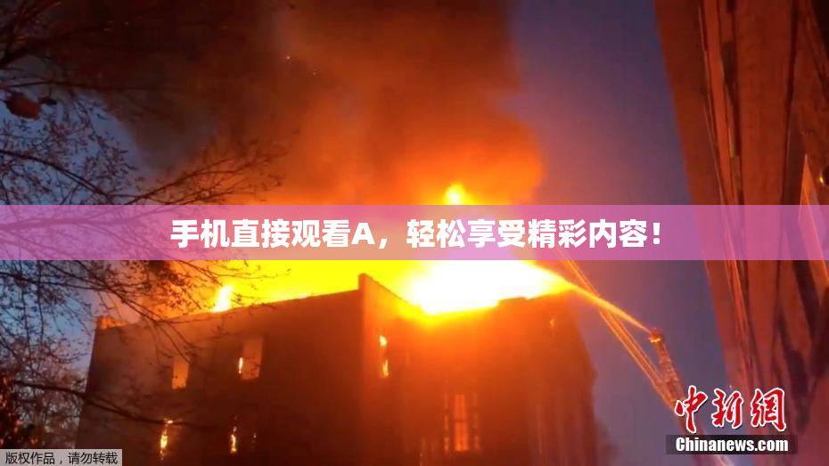 手机直接观看A，轻松享受精彩内容！