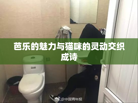芭乐的魅力与猫咪的灵动交织成诗