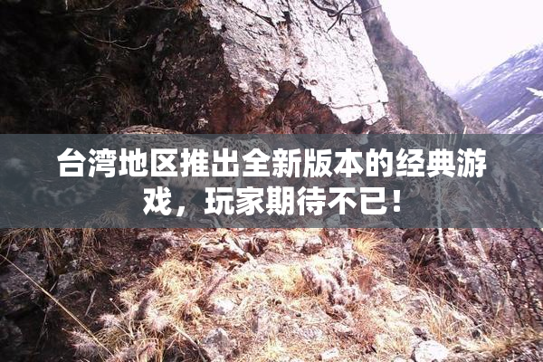 台湾地区推出全新版本的经典游戏，玩家期待不已！
