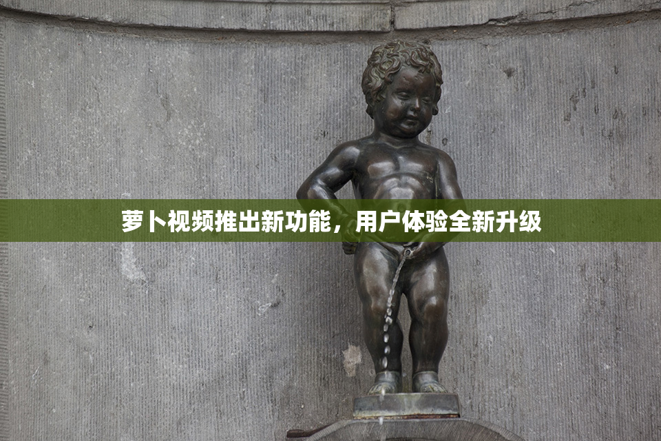 萝卜视频推出新功能，用户体验全新升级
