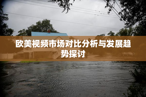 欧美视频市场对比分析与发展趋势探讨