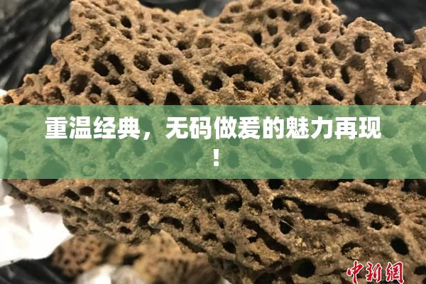 重温经典，无码做爰的魅力再现！