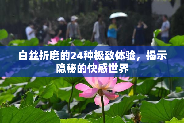 白丝折磨的24种极致体验，揭示隐秘的快感世界
