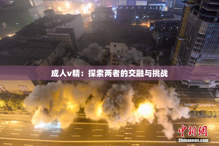 成人v精：探索两者的交融与挑战