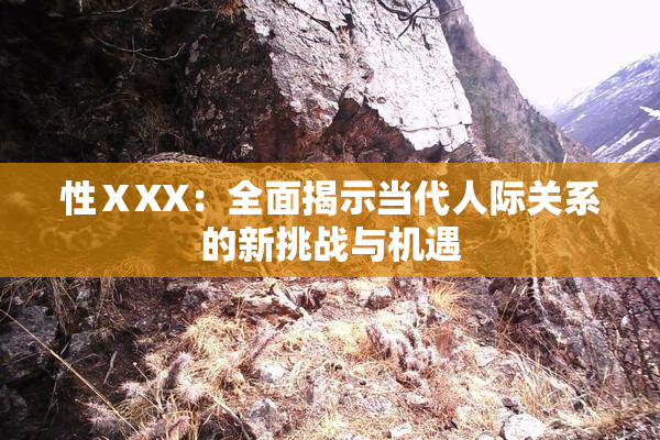 性ⅩXX：全面揭示当代人际关系的新挑战与机遇