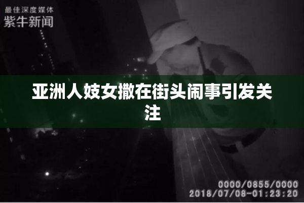 亚洲人妓女撒在街头闹事引发关注