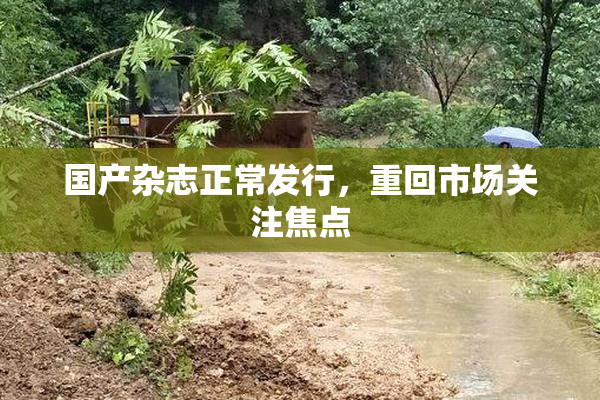 国产杂志正常发行，重回市场关注焦点