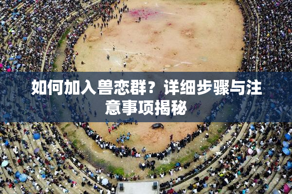如何加入兽恋群？详细步骤与注意事项揭秘