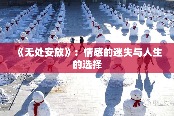 《无处安放》：情感的迷失与人生的选择