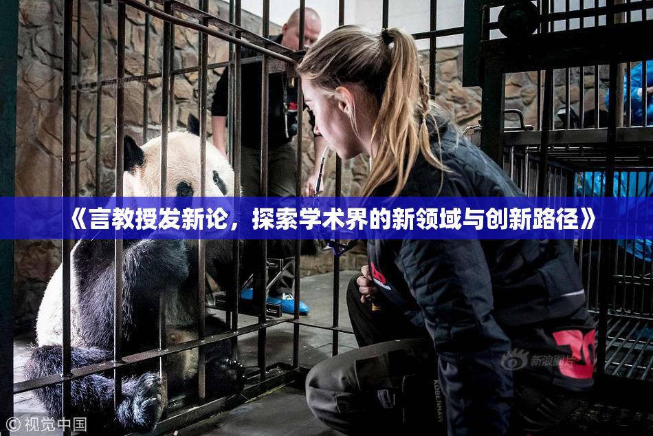 《言教授发新论，探索学术界的新领域与创新路径》