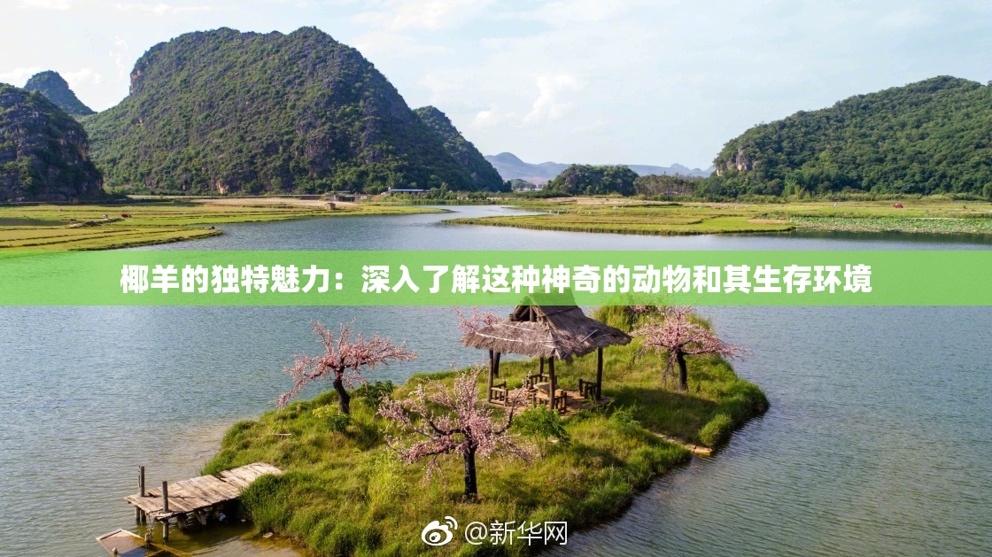 椰羊的独特魅力：深入了解这种神奇的动物和其生存环境