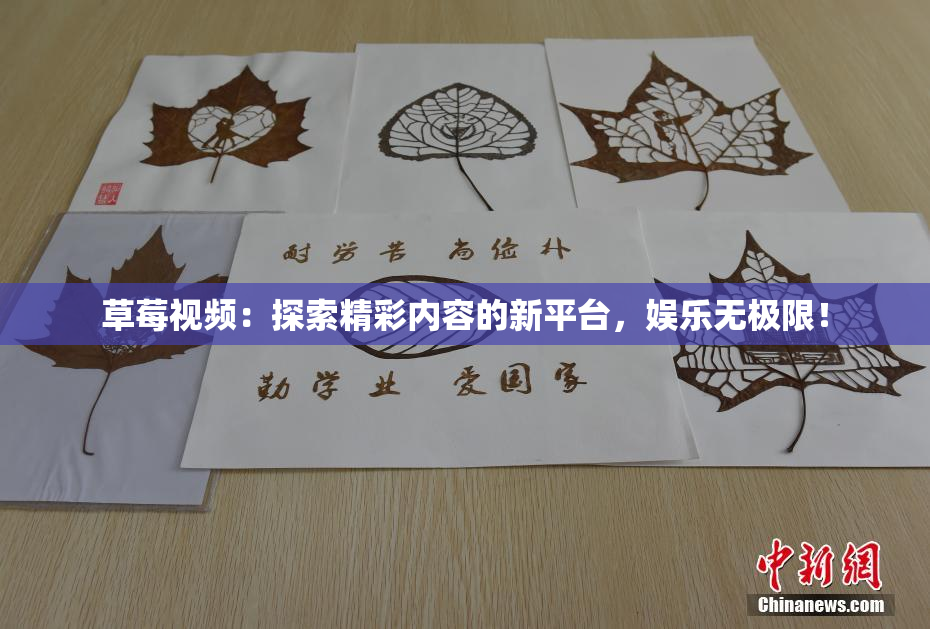 草莓视频：探索精彩内容的新平台，娱乐无极限！