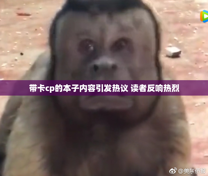 带卡cp的本子内容引发热议 读者反响热烈