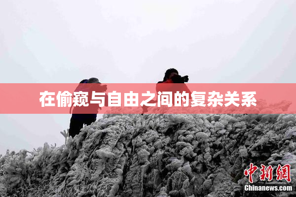 在偷窥与自由之间的复杂关系
