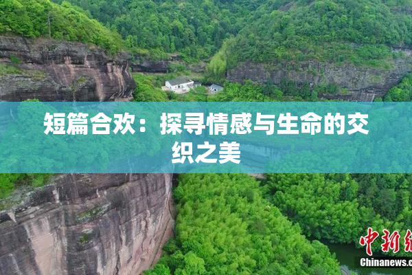 短篇合欢：探寻情感与生命的交织之美