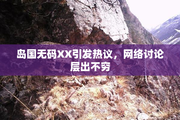 岛国无码XX引发热议，网络讨论层出不穷
