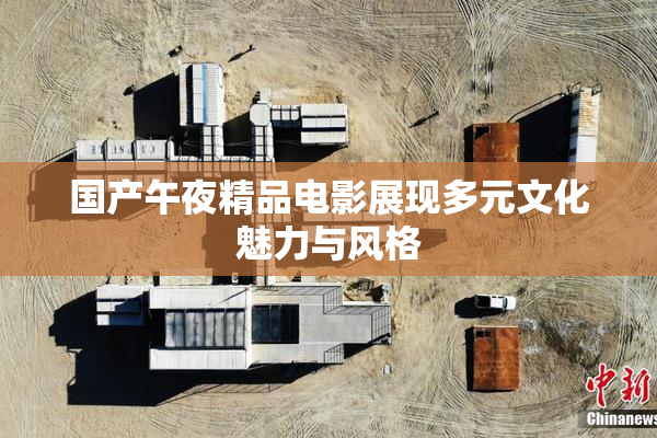 国产午夜精品电影展现多元文化魅力与风格