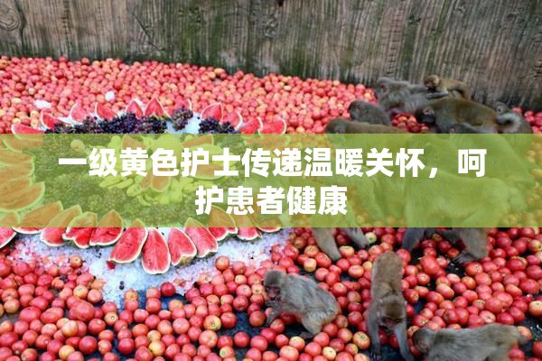 一级黄色护士传递温暖关怀，呵护患者健康