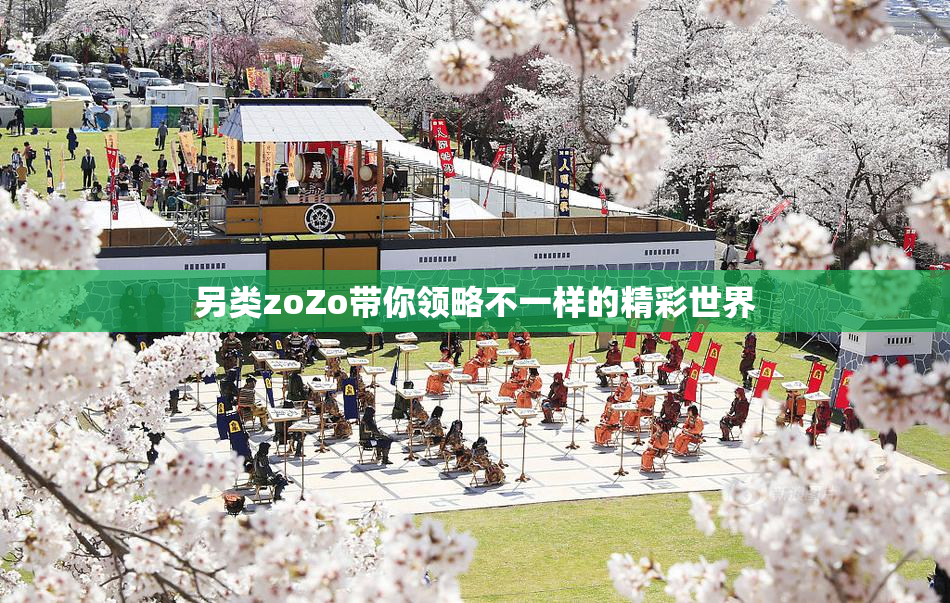 另类zoZo带你领略不一样的精彩世界