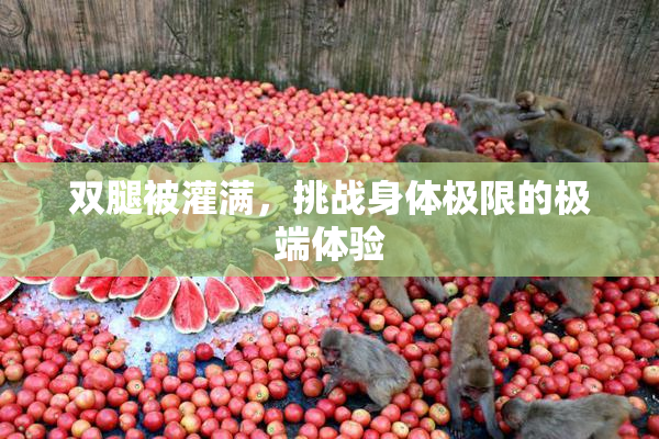 双腿被灌满，挑战身体极限的极端体验