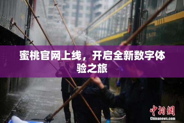 蜜桃官网上线，开启全新数字体验之旅