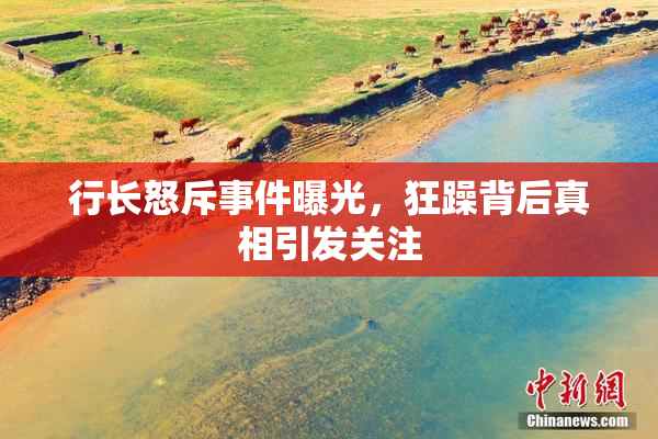 行长怒斥事件曝光，狂躁背后真相引发关注