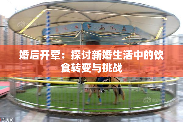 婚后开荤：探讨新婚生活中的饮食转变与挑战