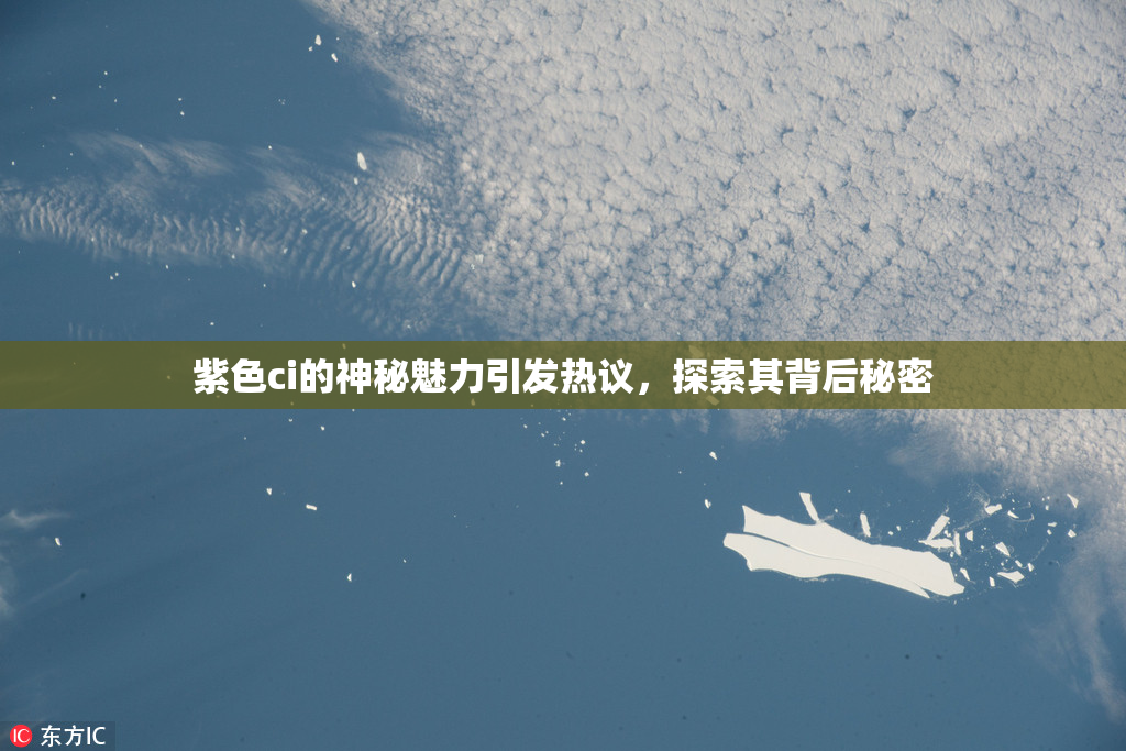 紫色ci的神秘魅力引发热议，探索其背后秘密