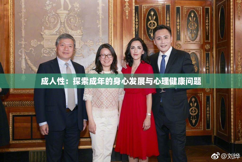 成人性：探索成年的身心发展与心理健康问题