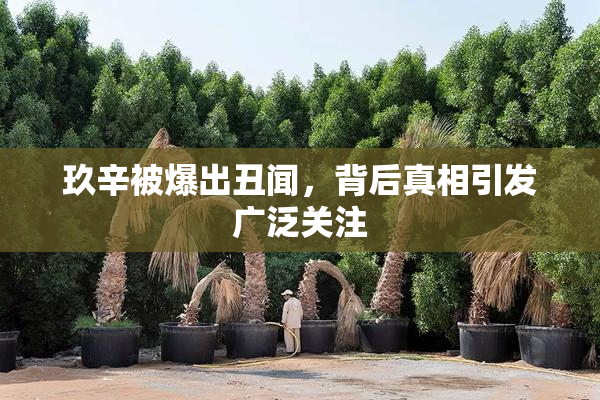 玖辛被爆出丑闻，背后真相引发广泛关注