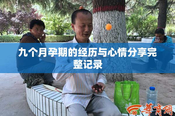 九个月孕期的经历与心情分享完整记录