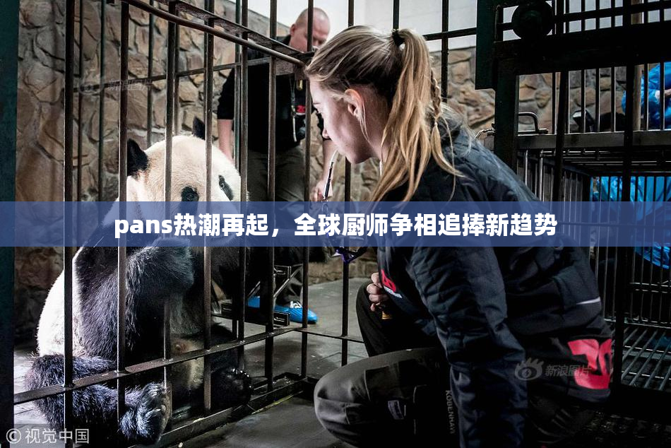 pans热潮再起，全球厨师争相追捧新趋势