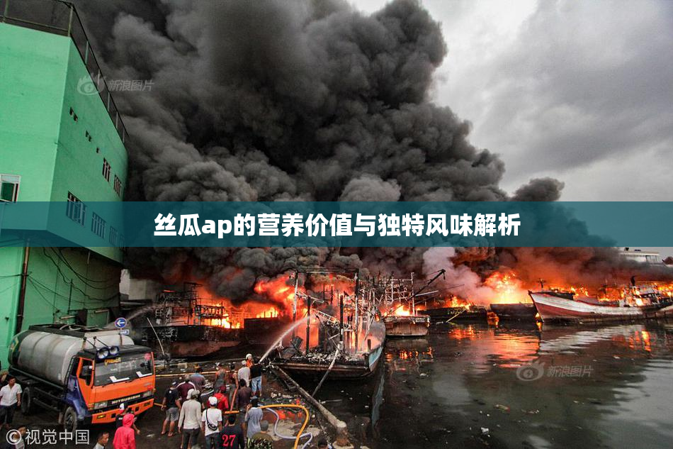 丝瓜ap的营养价值与独特风味解析