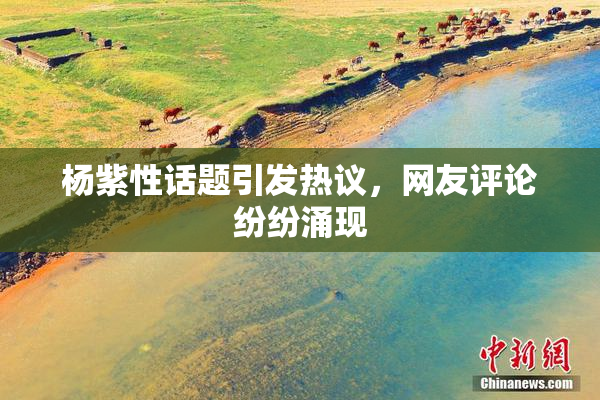 杨紫性话题引发热议，网友评论纷纷涌现
