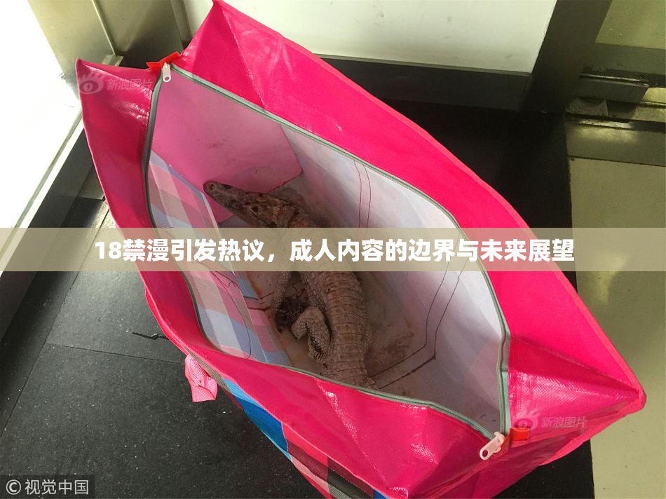 18禁漫引发热议，成人内容的边界与未来展望