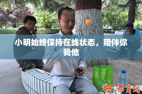 小明始终保持在线状态，陪伴你我他
