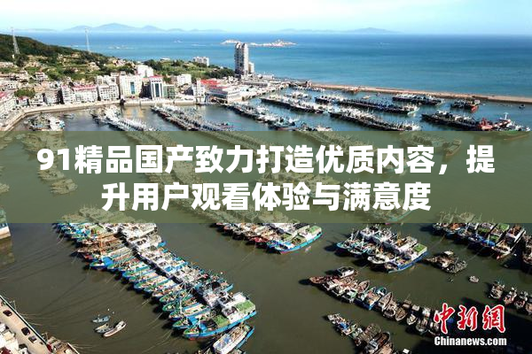 91精品国产致力打造优质内容，提升用户观看体验与满意度