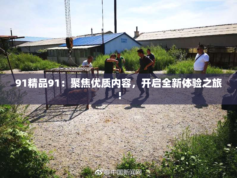 91精品91：聚焦优质内容，开启全新体验之旅！