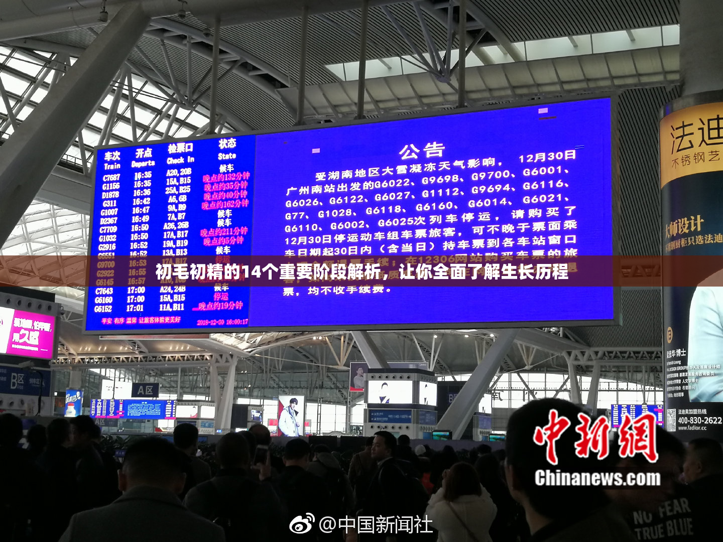 初毛初精的14个重要阶段解析，让你全面了解生长历程