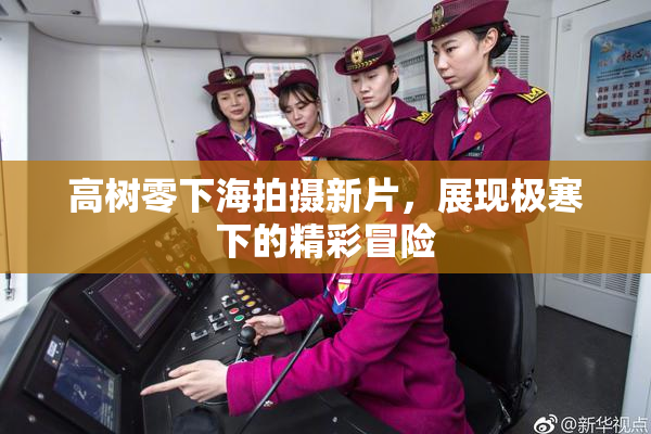 高树零下海拍摄新片，展现极寒下的精彩冒险