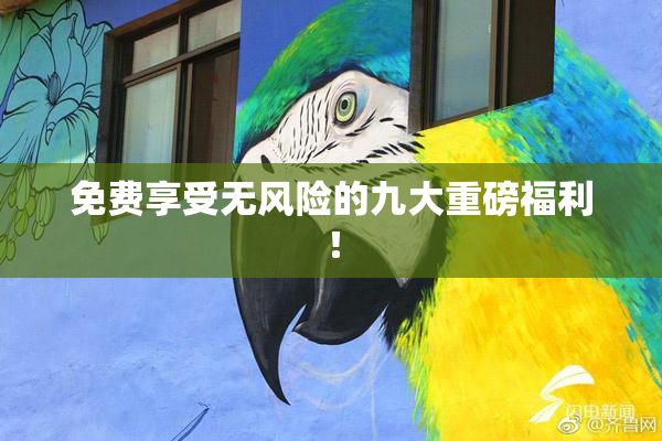 免费享受无风险的九大重磅福利！